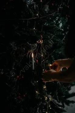 Eglo - Joulukuusi 250 Cm Kuusi -Talo ja puutarha myymälä eglo 410901 joulukuusi calgary 250 cm kuusi img eg410901 3 fd 11