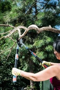 Extol Premium - Teleskooppivälitteiset Alasinsakset Oksille 670-940 Mm