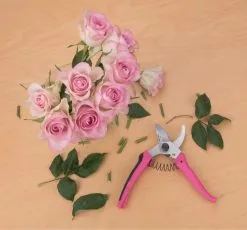 Extol - Puutarhasakset Kukille 180 Mm