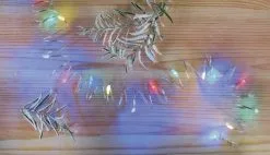 LED-jouluketju 20xLED/2,4m Monivärinen -Talo ja puutarha myymälä led jouluketju 20xled 2 4m monivarinen img ems574 2 fd 11