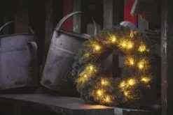 LED-joulukoriste 20xLED/2xAA D. 40 Cm -Talo ja puutarha myymälä led joulukoriste 20xled 2xaa d 40 cm img ems779 3 fd 11